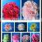 Exporters of Good Quality Fresh Cut Flowres Carnations in Bulk From Qingyi