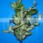 Good smell factory direct 2015 fashion style cut foliage flower