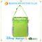 2016 new design picnic Mini fridge ice cooler pack box