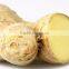 Dried ginger/ fresh ginger export with competitive price