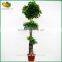 Hot sale artificial money plant tree plastic artificial money tree