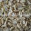 raw peanuts split from China