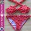 High Quality 2pcs Lovely Brazilian Bikini Manufacturer
