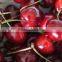 bagged china fresh cherries price lower and high quality