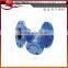 DIN Cast Iron And Ductile Iron Y Type Strainer