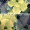 2016 newest beautiful colorful wallpaper with big flower pattern for home