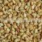 Roasted sesame seed