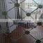decorative clear bronze blue window glass