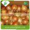 China cheap onion price