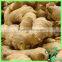 Ginger Root Market Price Dried Type