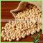 Soybean Seeds With Reasonable Price