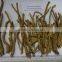 100% Natural Chinese Herb Medicine Dried Baikal Skullcap Root Slices and Root Cut