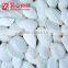 Export Shine Skin Pumpkin Seeds with shell