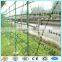 PVC coated galvanized sharp barbed wire