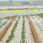 Compound Microbial Fertilizer For Root (Liquid)