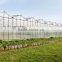Multi Span Polycarbonate Green House Agriculture & Commercial Used Greenhouse