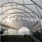 Hot sale film greenhouse for vegetables