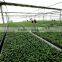China supplier plant growing Tray Seed Germination Tray for greenhouse with good price