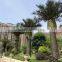 SJ12001203 date palm canary island palm tree artificial