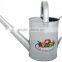 Eco-friendly Enamel water can/ garden deco Zinc Flower Planter Pot & Watering can