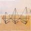 Three drilling (in) triangle glass greenhouse geometry stereo fleshy moss micro ecological container