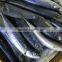 Frozen pacific mackerel atlantic mackerel for canning canned food