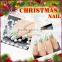 2017 new fashion private label acrylic nail for Christmas party