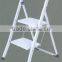 WR2029-11 2 step Steel folding agility household Step Ladder