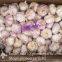 2017 New Crop Best Quality Chinese Red Garlic In Various Sizes 