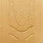 Door Skin