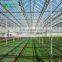 Commercial Agricultural Glass Greenhouse Price In China