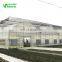 China easily to maintain low cost greenhouse commercial plastic vegetable greenhouse