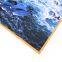Door Floor Non-slip Carpet Rugs And Mat