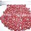 red kidney bean