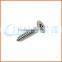 China supplier security screws (anti-theft screws)