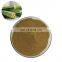 100% Pure Natural Organic Okra Extract with High Quality