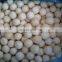 Sinocharm BRC Frozen Taro A Approved IQF Frozen Peeled Taro With High Quality