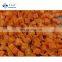 Sinocharm New Crop BRC Approved 10x10mm Nutritious Delicious IQF Frozen Diced Carrot