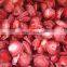 Sinocharm 2022 New Crop BRC A Approved Organic IQF Frozen Sliced Strawberries