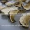 Edulis porcini mushrooms grade AAA boletes from Yunnan Sunshine Trading Co.,Ltd