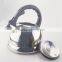 2.5L eco-friendly s/s water kettle with full color coating tea pot