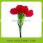 Pure and mild flavor top sell fresh cut carnations