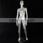(12050) fashion plus size female mannequin
