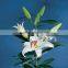Most popular fashion beautiful cheap wholesale water lily