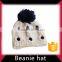 Warm 100% acrylic custom winter hat beanie