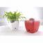 2016 hot sales fashion Indoor Plastic Flowerpot for potting