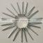 Common Nails (polished, galvanized)