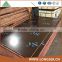 15mm Cheap Price Black Film Faced Plywood