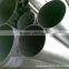 China Leading supplier stainless steel pipe