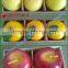 home and hotel decorative fruit candles-apple candle